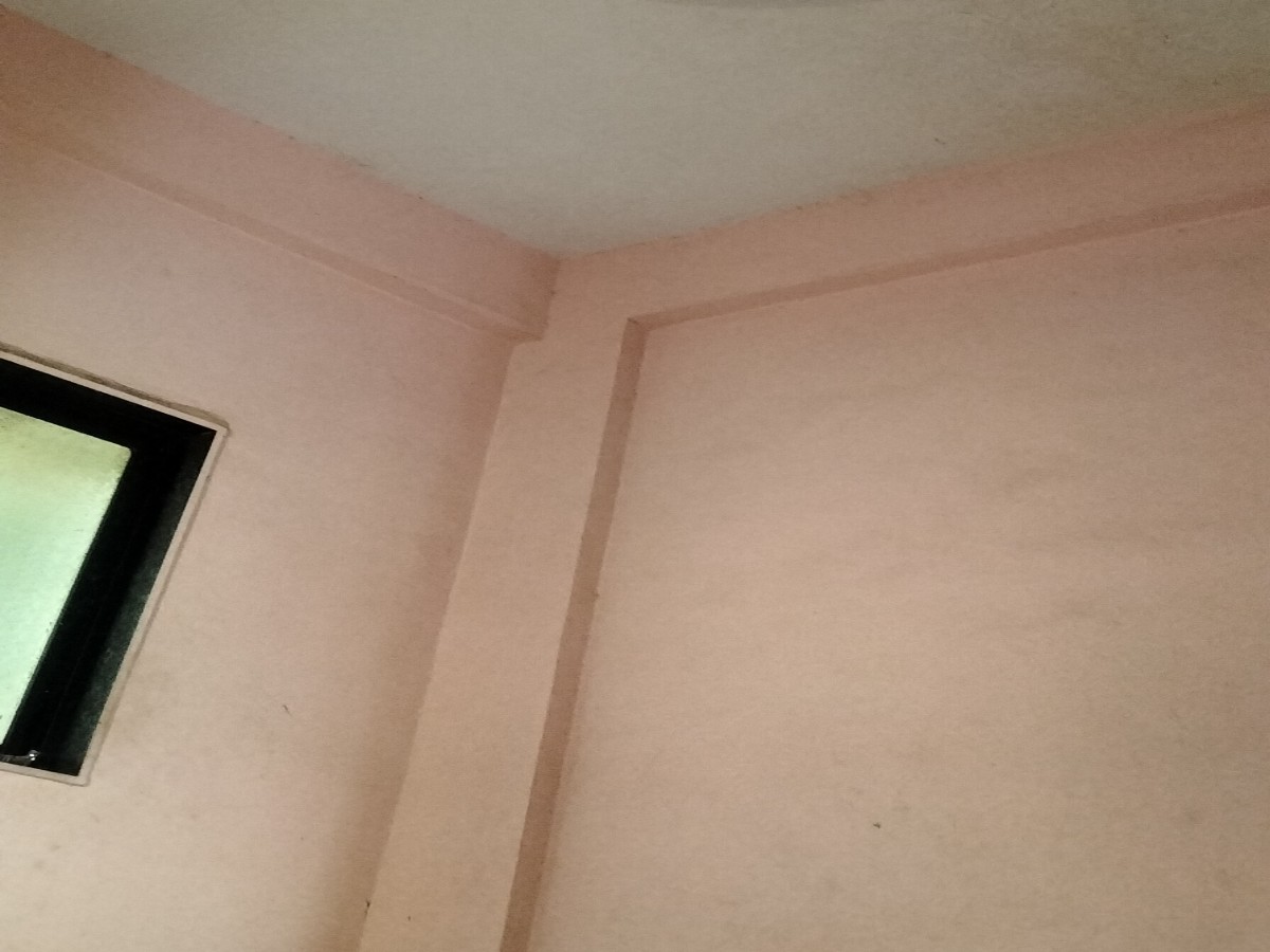 Clean & Spacious Room Available for Sharing - 1