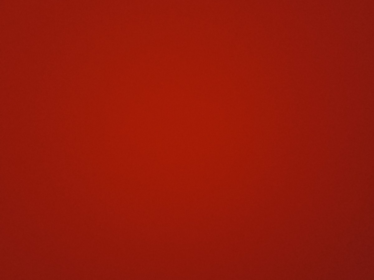 Female flatmate required 